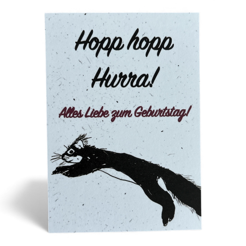 Hopp hopp Hurra! Alles Liebe zum Geburtstag! Postkarte