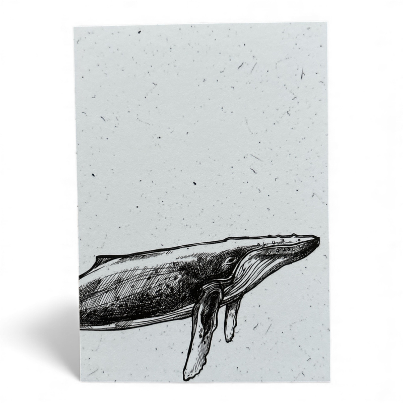 Postkarte „Whale“ – Minimalistisches Walmotiv in Schwarz-Weiß für Meer- & Designliebhaber