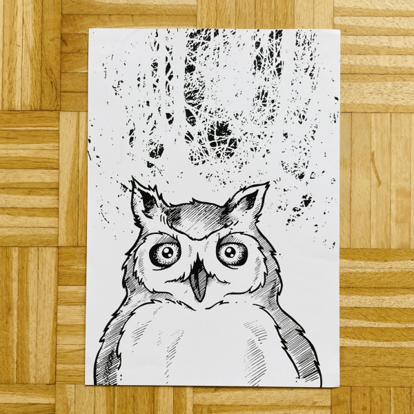 Eule im Wald Kunstdruck - A3 Siebdruck