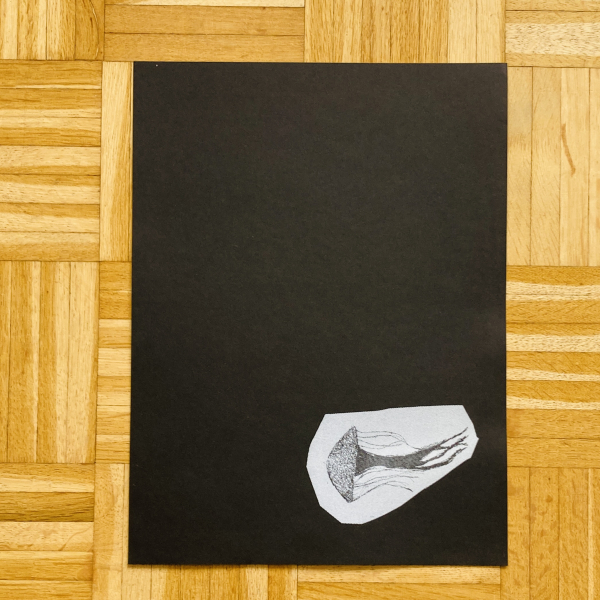 Qualle Kunstdruck - 30x40cm Siebdruck