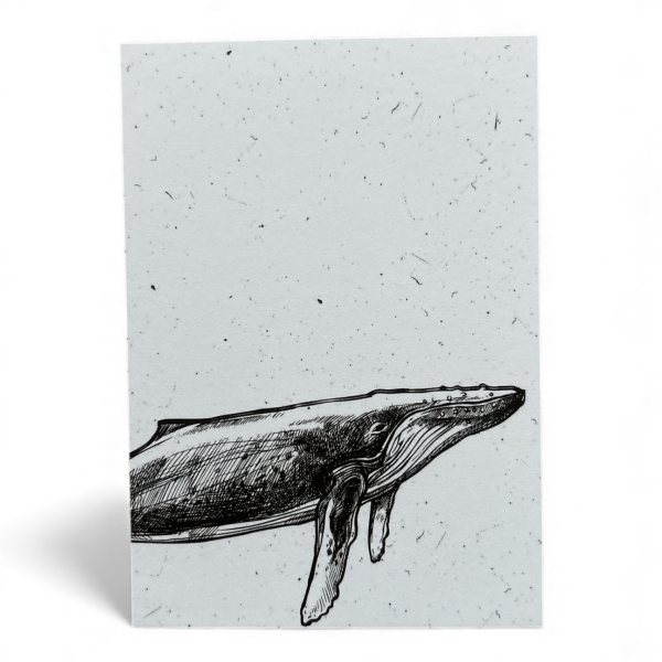 Postkarte „Whale“ – Minimalistisches Walmotiv in Schwarz-Weiß für Meer- & Designliebhaber